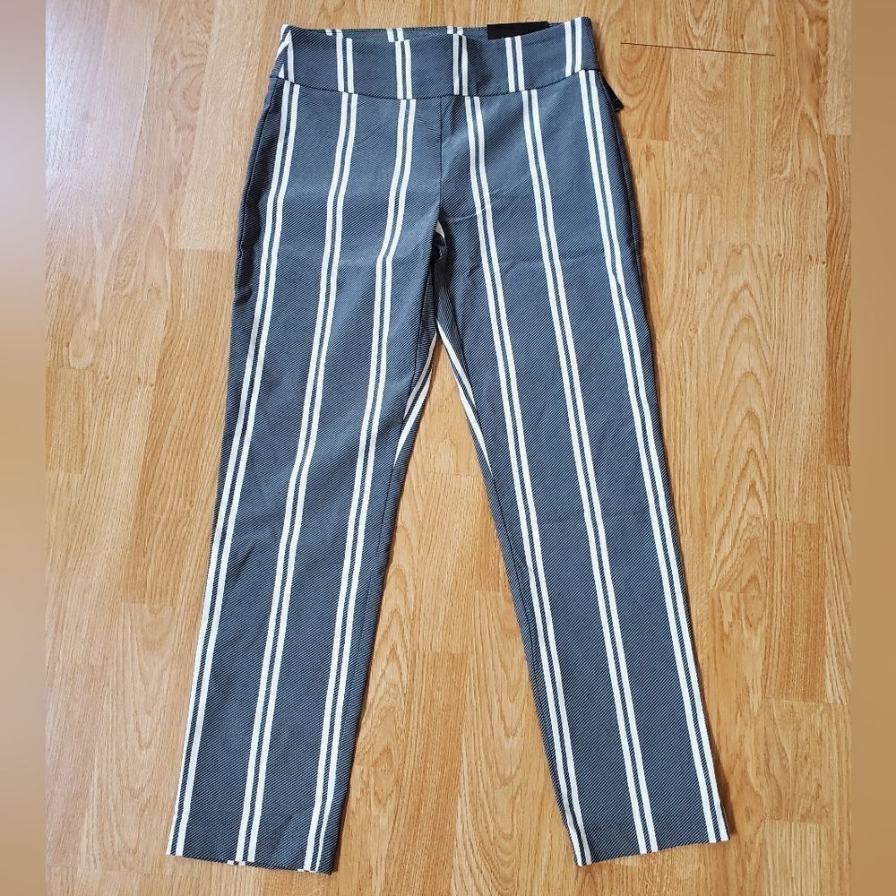 Attyre Audrey Slim Leg Ankle Pants sz 8
